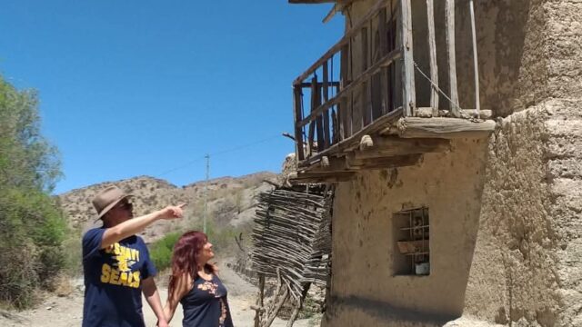 500111483_1275946971207158_5292569321021635109_n