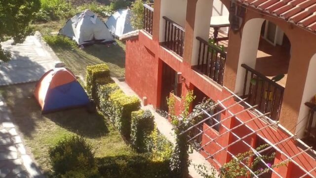 500255771_1275947717873750_4522065148329155914_n