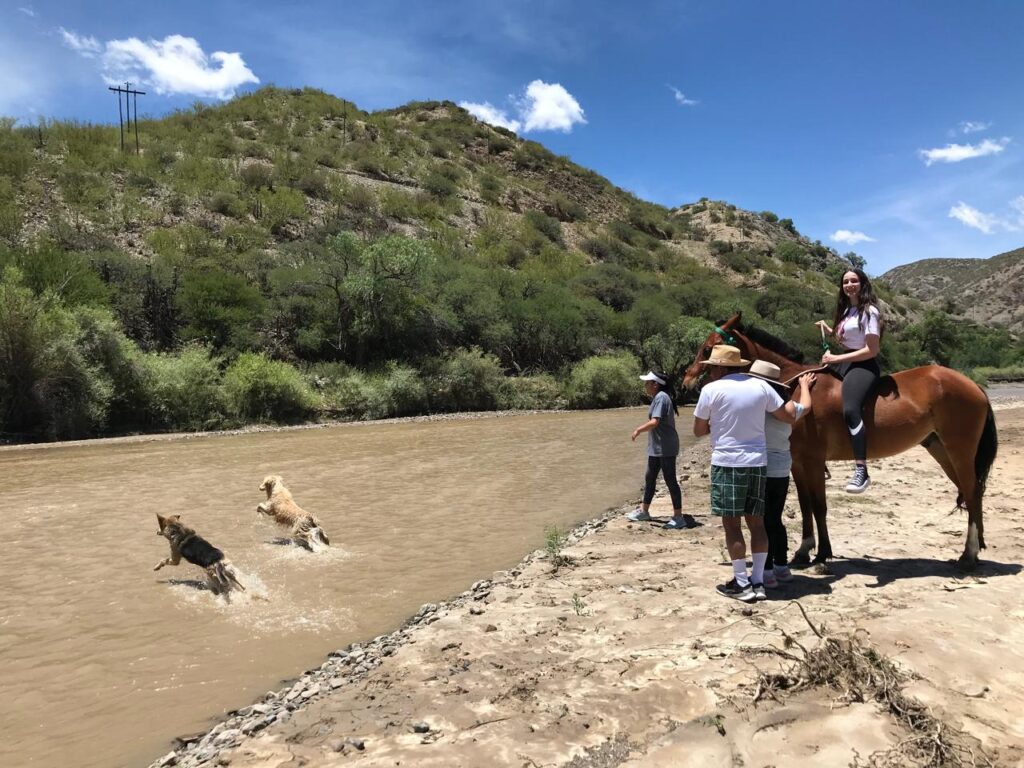 500579279_1275949164540272_836424901213167807_n