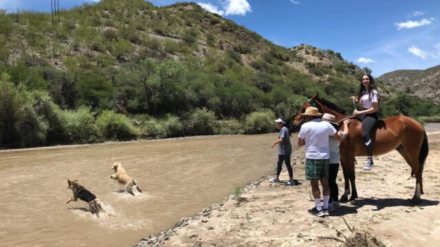 500579279_1275949164540272_836424901213167807_n