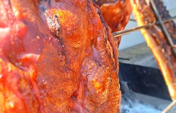 504097598_1098796795610486_6700853388609375114_n