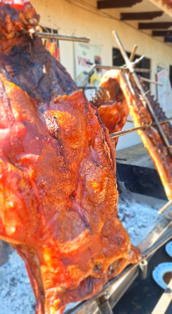 504097598_1098796795610486_6700853388609375114_n