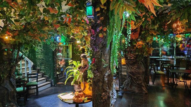 505877027_693015453353082_2902837919410516347_n