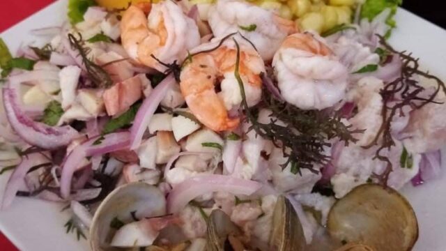 506619555_1314089910717204_13541968992474834_n