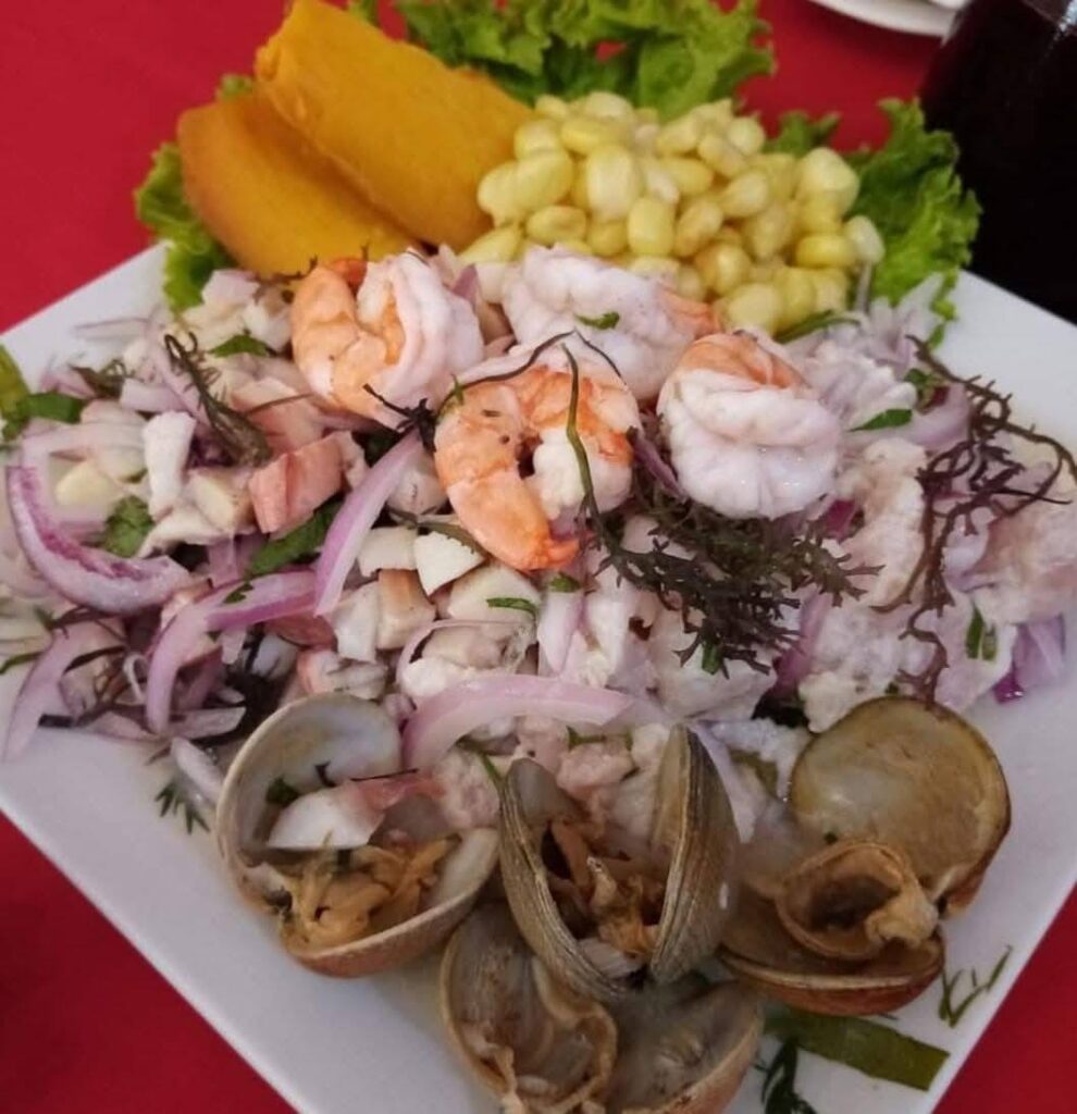 506619555_1314089910717204_13541968992474834_n