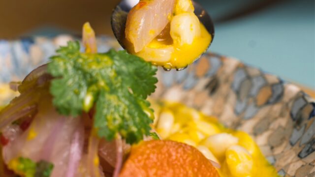 510831261_723529350427149_7665719887776046962_n