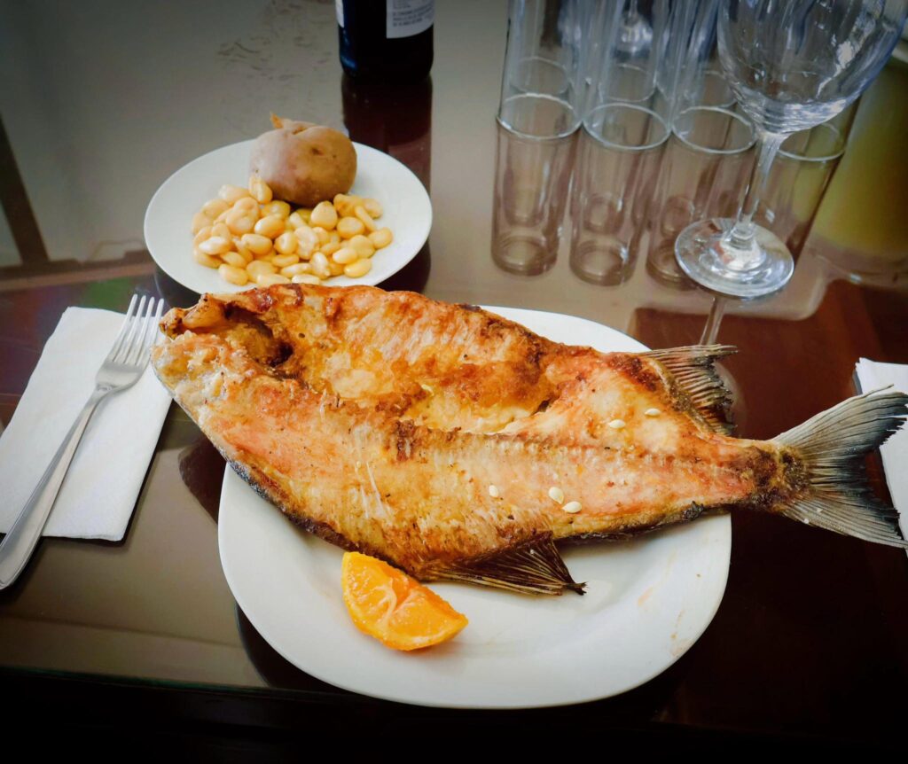 512677587_1030148545979510_8911118258275431104_n