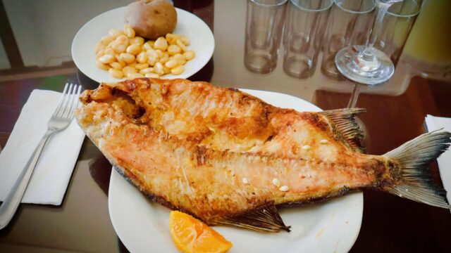 512677587_1030148545979510_8911118258275431104_n