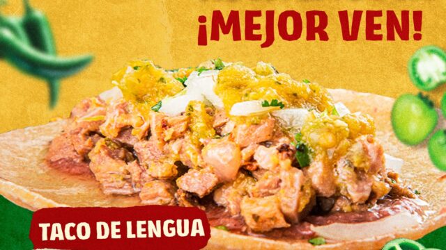 515437719_1227934995797174_8018570736606285040_n