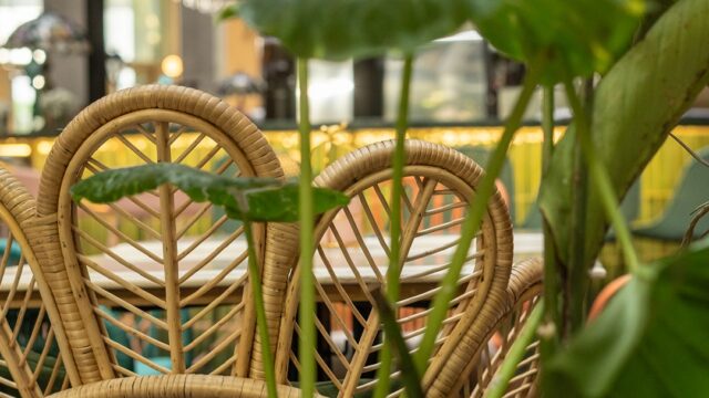 517097915_18003510479785336_3915328711942938850_n