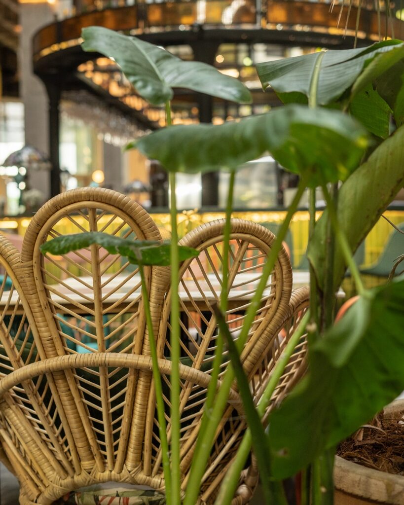 517097915_18003510479785336_3915328711942938850_n