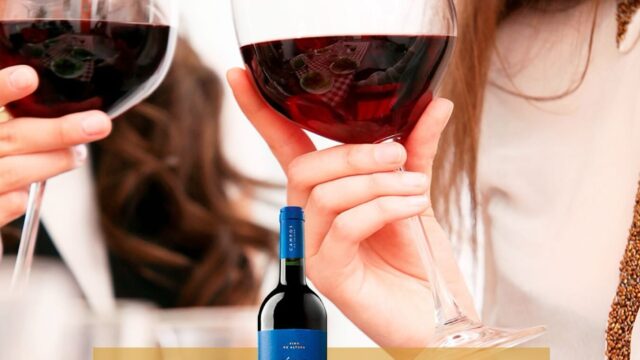 517225164_18147672046391401_2098814454155299303_n