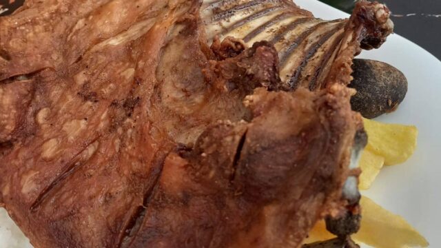 522732216_122269787696016398_7548617191734834024_n