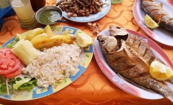 100051221_111288337261395_4634270476888178688_n