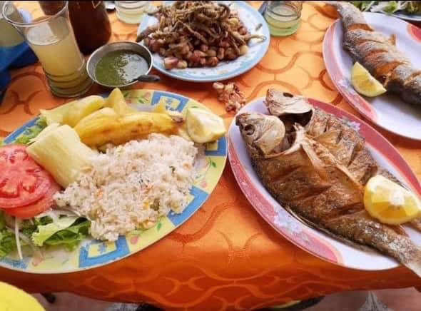 100051221_111288337261395_4634270476888178688_n