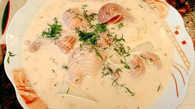 101549567_102376111509092_2184185655372808192_n