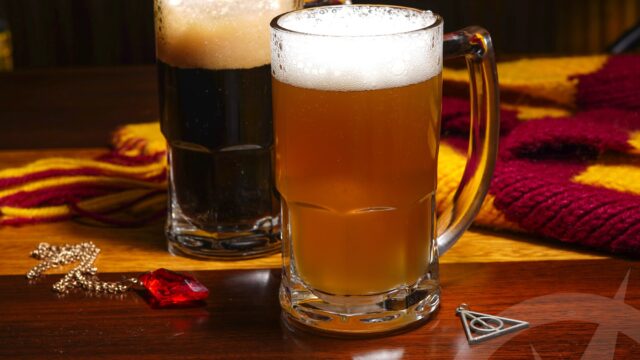 165892137_876516686414489_5797894278512423721_n