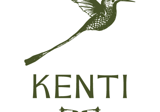 313333861_546840270777631_5818070579315040872_n