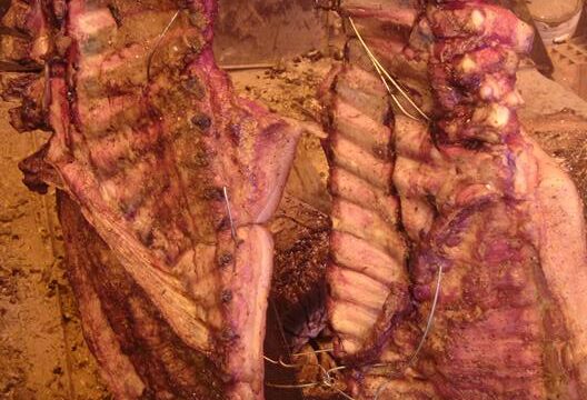 33614544_2164309570465591_7067857774968832000_n