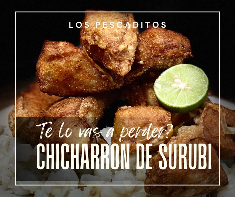 473432911_556069837425227_3616563754666716360_n