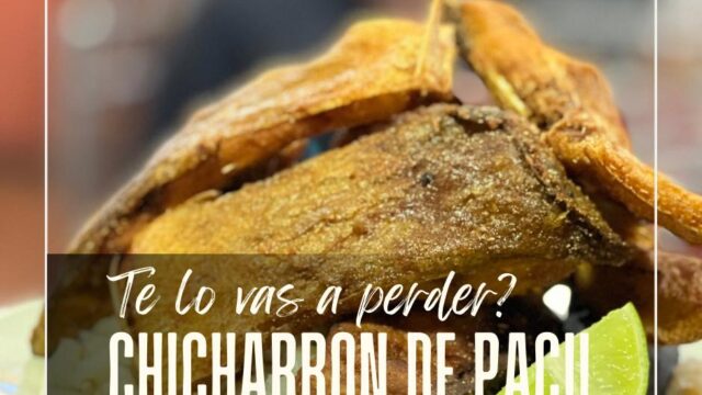 473542142_556069827425228_2177237113165044996_n