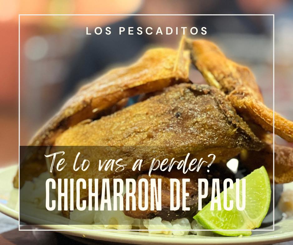 473542142_556069827425228_2177237113165044996_n