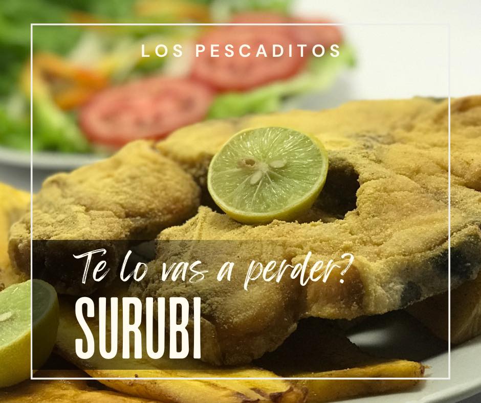 473577370_556069810758563_5911828559674627833_n