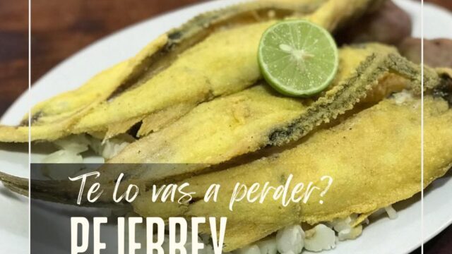 473614466_556069844091893_8098049706796946646_n