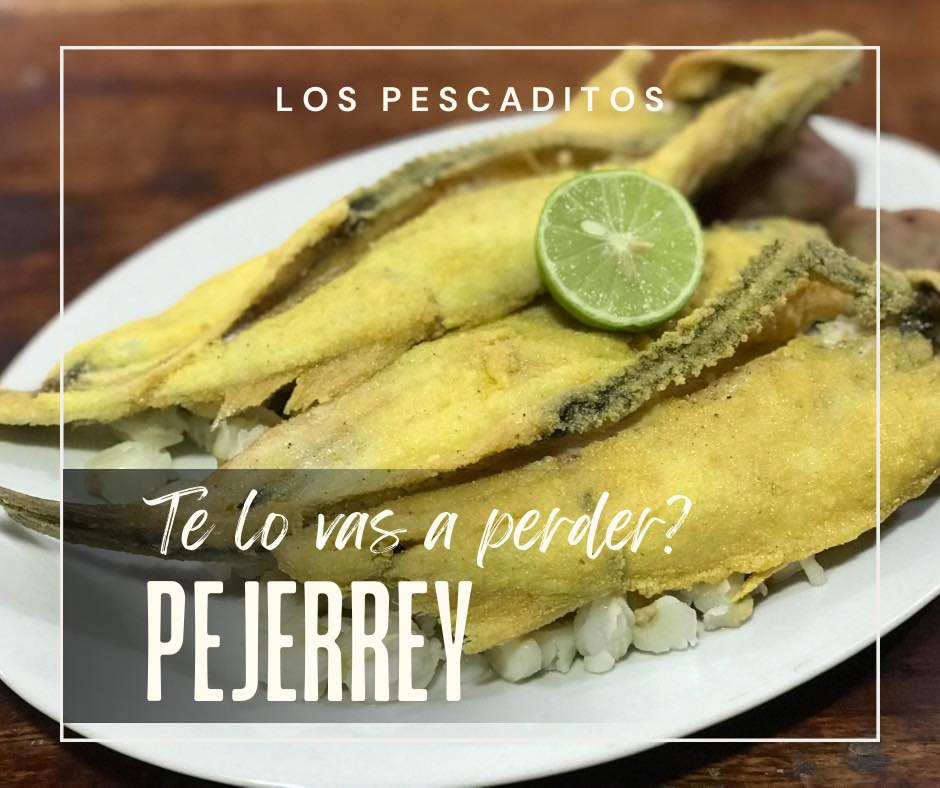 473614466_556069844091893_8098049706796946646_n