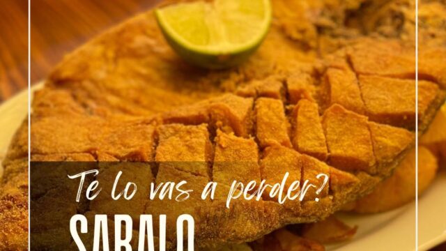 473623721_556069890758555_151446131755454458_n