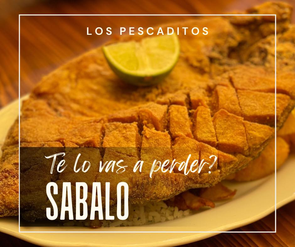 473623721_556069890758555_151446131755454458_n