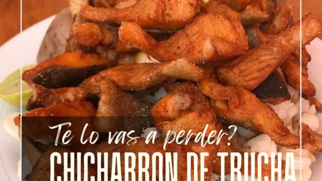 473677320_556069860758558_4552142416423465592_n