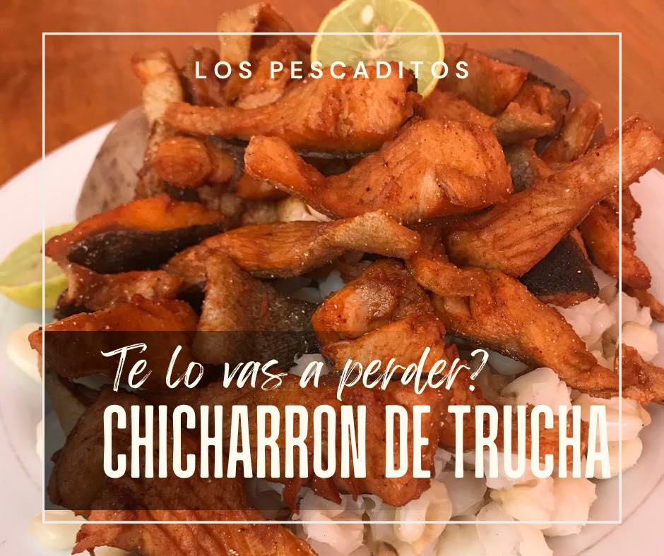 473677320_556069860758558_4552142416423465592_n