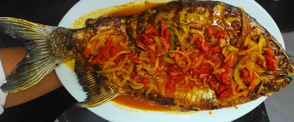 474592006_483572321455690_916548916076157128_n