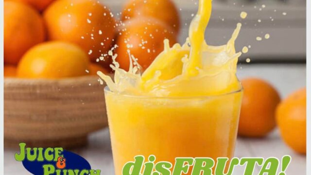 476839208_9081597458554989_5606471759295782104_n