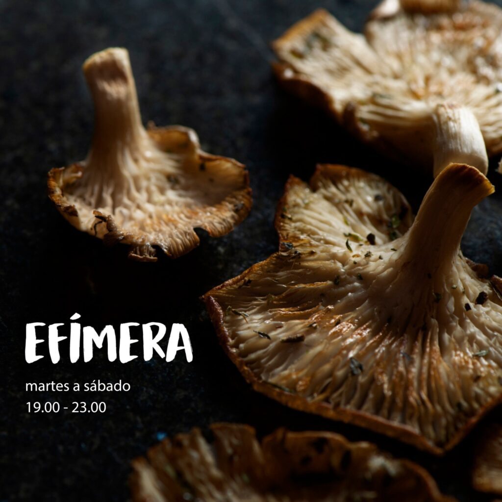 476921931_601953472691418_2011590712138753219_n