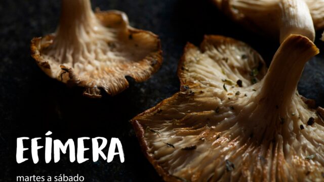 476921931_601953472691418_2011590712138753219_n