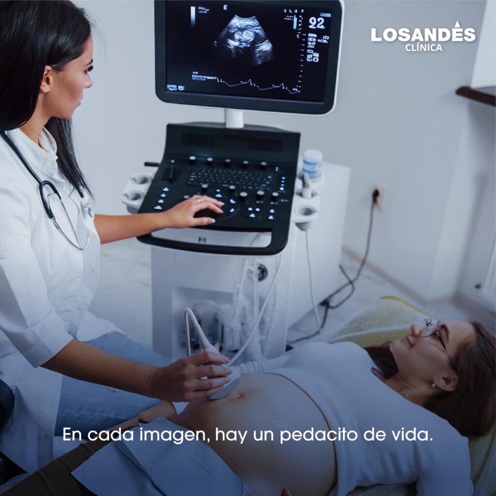 480553582_933823198946257_3997416560582911012_n