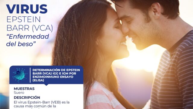 481680023_1164780892324099_7175246313251886215_n