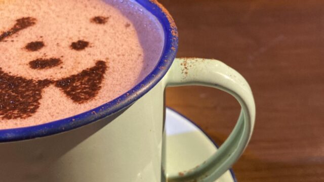 481902115_1257231476403345_5455846130741087407_n