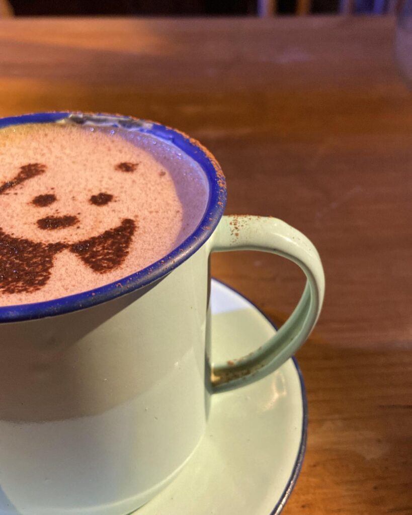 481902115_1257231476403345_5455846130741087407_n