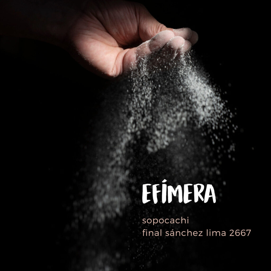 481924242_618675231019242_7037241869186308883_n