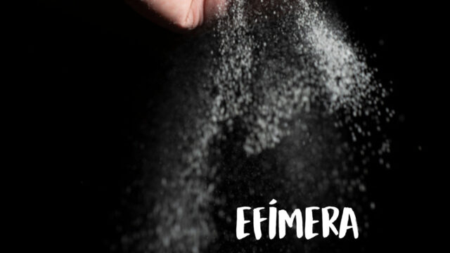 481924242_618675231019242_7037241869186308883_n