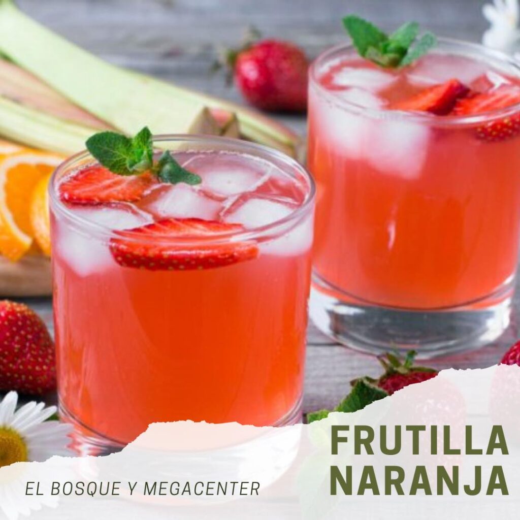 482029125_9266692710045462_5184361466269174521_n