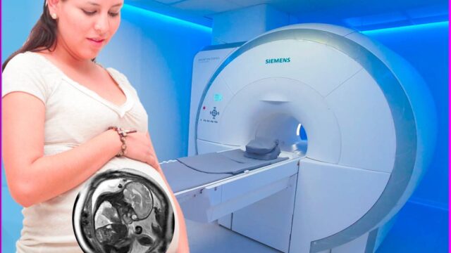 482222086_666161299267861_5236264279975502913_n