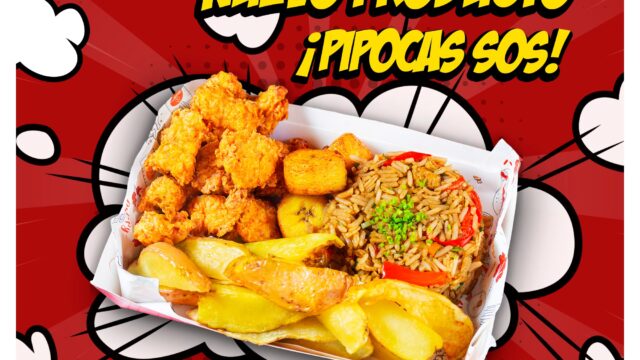 483365390_122236093334028733_5675568623932667723_n