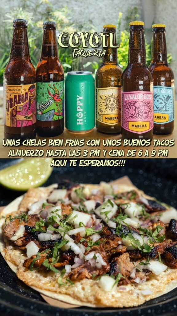 484137322_667026449345204_176604019354413209_n