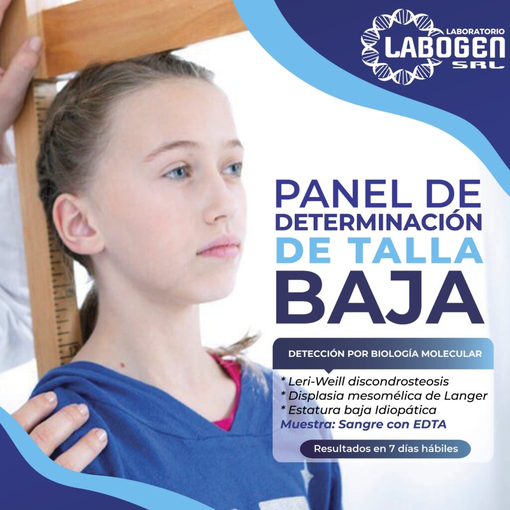 484787587_1175205417948313_8146397085947085242_n