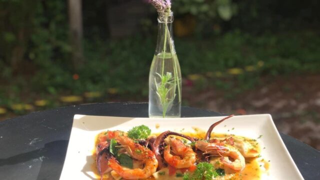 484917164_1044646381045042_5530306219687139208_n