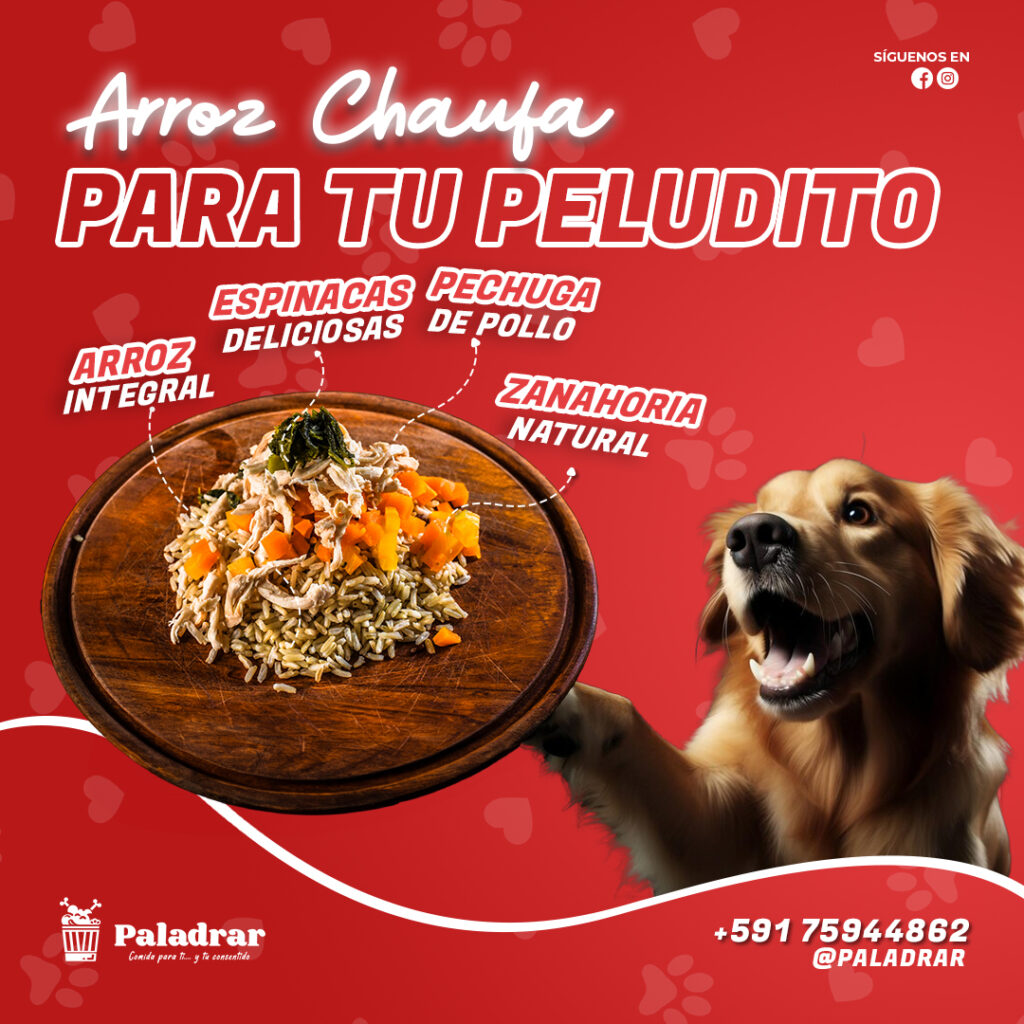 486046253_1074345718044814_5675309290168872927_n